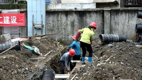 城區排水防澇建設工程全面開工，筑牢城市安全防線